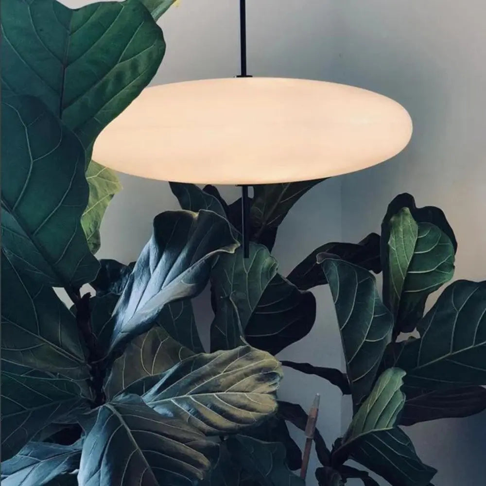 L'Ovale Élégant - Modern Oval Pendant Lamp with Sleek Elegance SEPHIRA